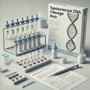 Topoisomerase DNA Cleavage Assay Kit: Revolutionizing DNA Research ...